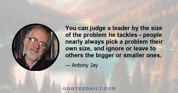 You can judge a leader by the size of the problem he tackles - people nearly always pick a problem their own size, and ignore or leave to others the bigger or smaller ones.