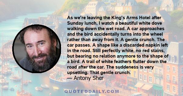 As we're leaving the King's Arms Hotel after Sunday lunch, I watch a beautiful white dove walking down the wet road. A car approaches and the bird accidentally turns into the wheel rather than away from it. A gentle