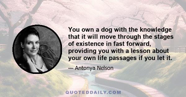 You own a dog with the knowledge that it will move through the stages of existence in fast forward, providing you with a lesson about your own life passages if you let it.