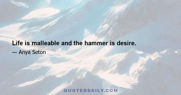 Life is malleable and the hammer is desire.