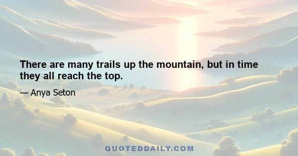 There are many trails up the mountain, but in time they all reach the top.