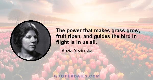 The power that makes grass grow, fruit ripen, and guides the bird in flight is in us all.