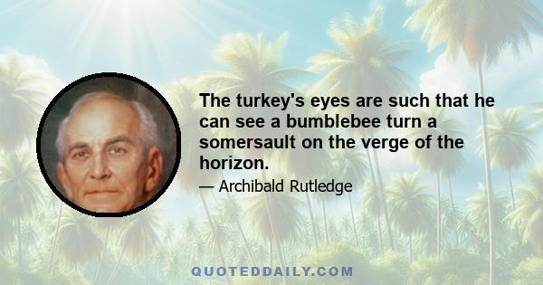 The turkey's eyes are such that he can see a bumblebee turn a somersault on the verge of the horizon.