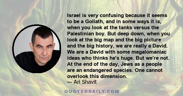 Israel is very confusing because it seems to be a Goliath, and in some ways it is, when you look at the tanks versus the Palestinian boy. But deep down, when you look at the big map and the big picture and the big