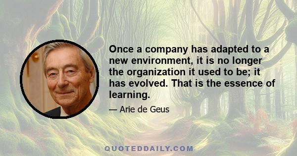 Once a company has adapted to a new environment, it is no longer the organization it used to be; it has evolved. That is the essence of learning.