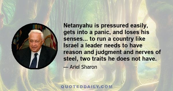 Netanyahu is pressured easily, gets into a panic, and loses his senses... to run a country like Israel a leader needs to have reason and judgment and nerves of steel, two traits he does not have.