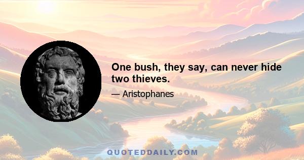 One bush, they say, can never hide two thieves.