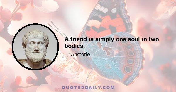 A friend is simply one soul in two bodies.