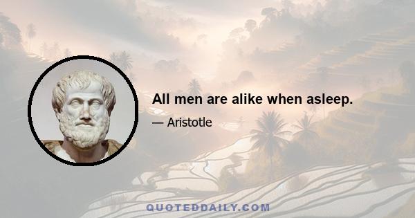 All men are alike when asleep.