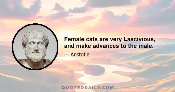 Female cats are very Lascivious, and make advances to the male.