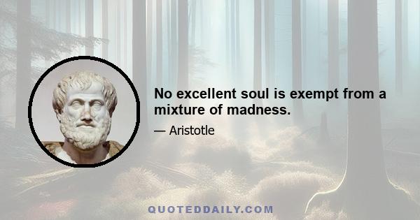 No excellent soul is exempt from a mixture of madness.