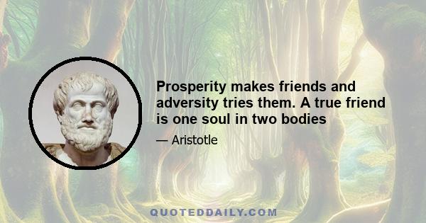 Prosperity makes friends and adversity tries them. A true friend is one soul in two bodies