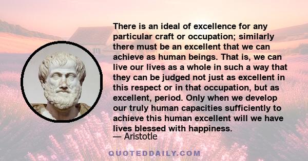 There is an ideal of excellence for any particular craft or occupation; similarly there must be an excellent that we can achieve as human beings. That is, we can live our lives as a whole in such a way that they can be