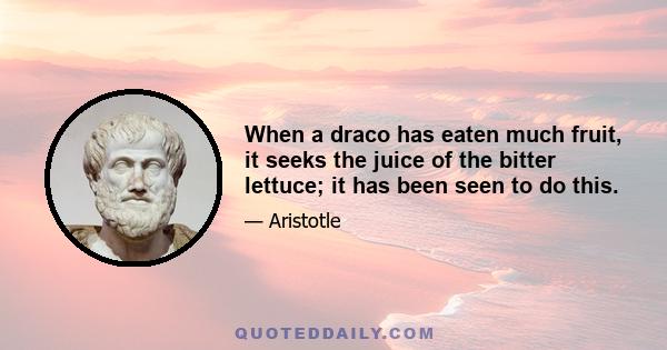 When a draco has eaten much fruit, it seeks the juice of the bitter lettuce; it has been seen to do this.