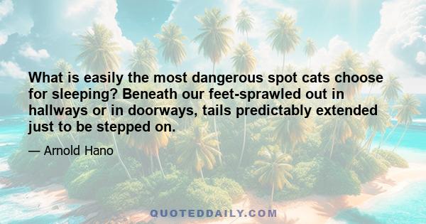 What is easily the most dangerous spot cats choose for sleeping? Beneath our feet-sprawled out in hallways or in doorways, tails predictably extended just to be stepped on.