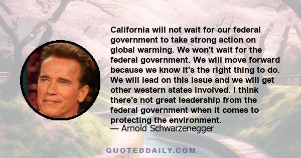 California will not wait for our federal government to take strong action on global warming. We won't wait for the federal government. We will move forward because we know it's the right thing to do. We will lead on