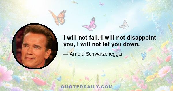 I will not fail, I will not disappoint you, I will not let you down.