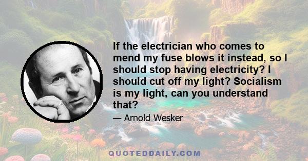 If the electrician who comes to mend my fuse blows it instead, so I should stop having electricity? I should cut off my light? Socialism is my light, can you understand that?