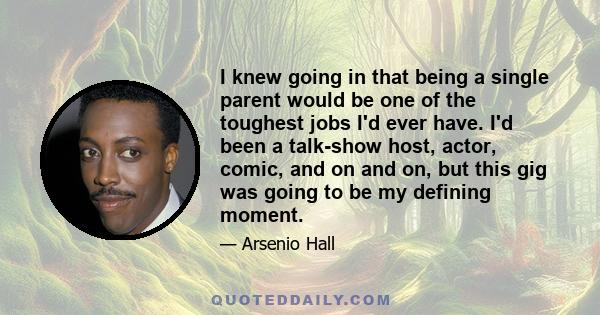 I knew going in that being a single parent would be one of the toughest jobs I'd ever have. I'd been a talk-show host, actor, comic, and on and on, but this gig was going to be my defining moment.