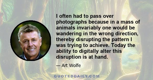 I often had to pass over photographs because in a mass of animals invariably one would be wandering in the wrong direction, thereby disrupting the pattern I was trying to achieve. Today the ability to digitally alter