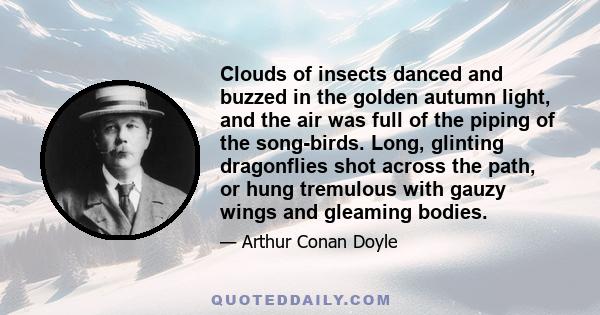 Clouds of insects danced and buzzed in the golden autumn light, and the air was full of the piping of the song-birds. Long, glinting dragonflies shot across the path, or hung tremulous with gauzy wings and gleaming