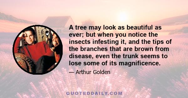 A tree may look as beautiful as ever; but when you notice the insects infesting it, and the tips of the branches that are brown from disease, even the trunk seems to lose some of its magnificence.