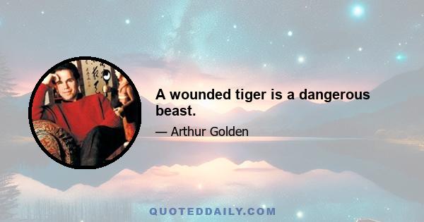 A wounded tiger is a dangerous beast.