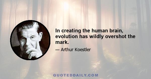 In creating the human brain, evolution has wildly overshot the mark.