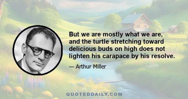 But we are mostly what we are, and the turtle stretching toward delicious buds on high does not lighten his carapace by his resolve.