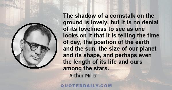 The shadow of a cornstalk on the ground is lovely, but it is no denial of its loveliness to see as one looks on it that it is telling the time of day, the position of the earth and the sun, the size of our planet and