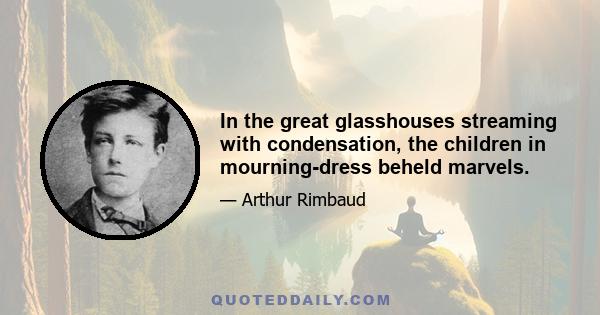 In the great glasshouses streaming with condensation, the children in mourning-dress beheld marvels.