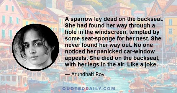 A sparrow lay dead on the backseat. She had found her way through a hole in the windscreen, tempted by some seat-sponge for her nest. She never found her way out. No one noticed her panicked car-window appeals. She died 