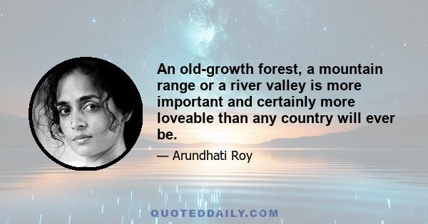 An old-growth forest, a mountain range or a river valley is more important and certainly more loveable than any country will ever be.