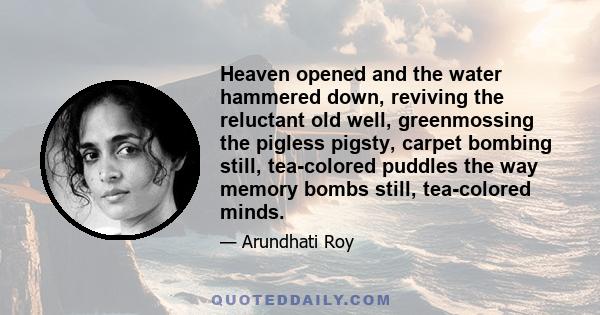 Heaven opened and the water hammered down, reviving the reluctant old well, greenmossing the pigless pigsty, carpet bombing still, tea-colored puddles the way memory bombs still, tea-colored minds.