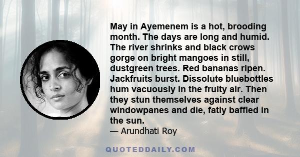 May in Ayemenem is a hot, brooding month. The days are long and humid. The river shrinks and black crows gorge on bright mangoes in still, dustgreen trees. Red bananas ripen. Jackfruits burst. Dissolute bluebottles hum