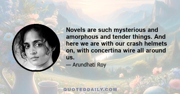 Novels are such mysterious and amorphous and tender things. And here we are with our crash helmets on, with concertina wire all around us.