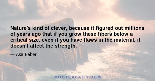 Nature's kind of clever, because it figured out millions of years ago that if you grow these fibers below a critical size, even if you have flaws in the material, it doesn't affect the strength.