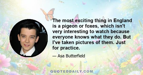 The most exciting thing in England is a pigeon or foxes, which isn't very interesting to watch because everyone knows what they do. But I've taken pictures of them. Just for practice.