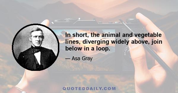 In short, the animal and vegetable lines, diverging widely above, join below in a loop.