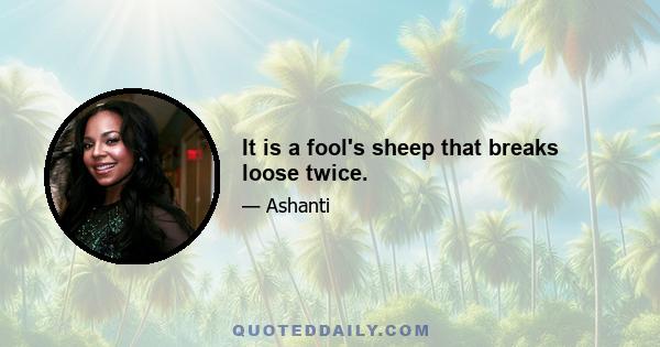 It is a fool's sheep that breaks loose twice.