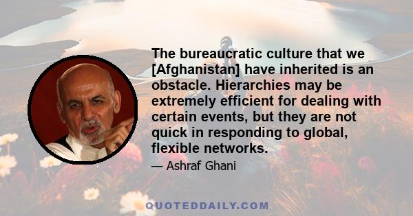 The bureaucratic culture that we [Afghanistan] have inherited is an obstacle. Hierarchies may be extremely efficient for dealing with certain events, but they are not quick in responding to global, flexible networks.