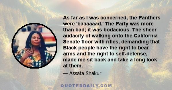 As far as I was concerned, the Panthers were 'baaaaaad.' The Party was more than bad; it was bodacious. The sheer audacity of walking onto the California Senate floor with rifles, demanding that Black people have the