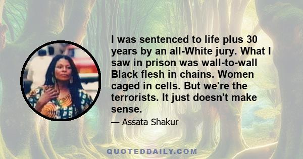 I was sentenced to life plus 30 years by an all-White jury. What I saw in prison was wall-to-wall Black flesh in chains. Women caged in cells. But we're the terrorists. It just doesn't make sense.