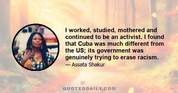 I worked, studied, mothered and continued to be an activist. I found that Cuba was much different from the US; its government was genuinely trying to erase racism.