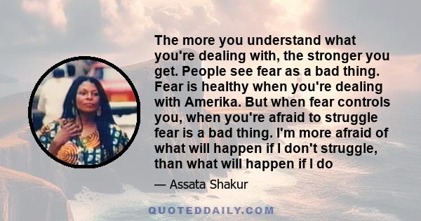 The more you understand what you're dealing with, the stronger you get. People see fear as a bad thing. Fear is healthy when you're dealing with Amerika. But when fear controls you, when you're afraid to struggle fear