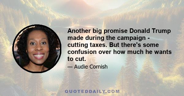 Another big promise Donald Trump made during the campaign - cutting taxes. But there's some confusion over how much he wants to cut.