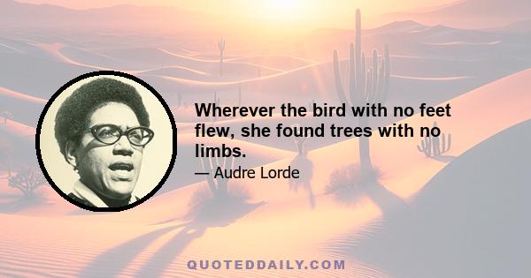 Wherever the bird with no feet flew, she found trees with no limbs.