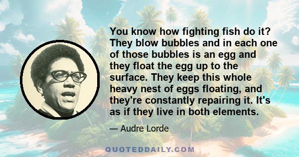 You know how fighting fish do it? They blow bubbles and in each one of those bubbles is an egg and they float the egg up to the surface. They keep this whole heavy nest of eggs floating, and they're constantly repairing 