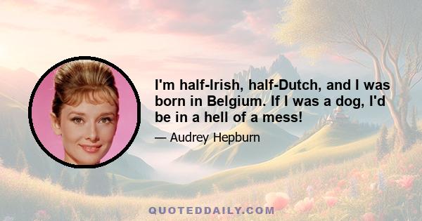 I'm half-Irish, half-Dutch, and I was born in Belgium. If I was a dog, I'd be in a hell of a mess!