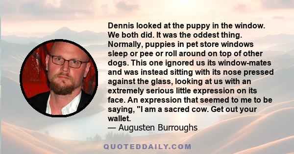 Dennis looked at the puppy in the window. We both did. It was the oddest thing. Normally, puppies in pet store windows sleep or pee or roll around on top of other dogs. This one ignored us its window-mates and was